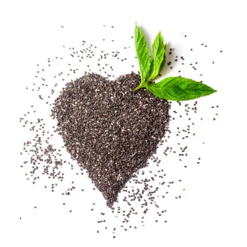 Herbal Dry Mint Leaves